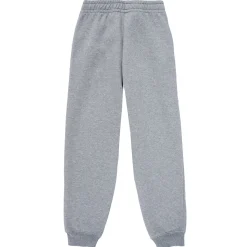 Joggings & Survêtements^Puma - ESS NO1 LOGO SWEATPANTS Gris