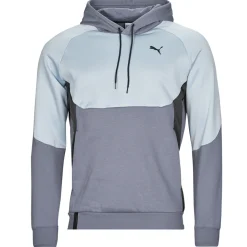 Sweats & Polaires^Puma - INLINE Gris