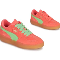 Baskets Mode^Puma - Palermo Moda Xtra Gum Wns Rose