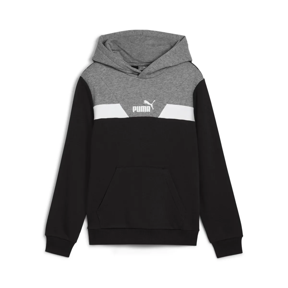 Sweats & Polaires^Puma - POWER COLORBLOCK HOODIE TR