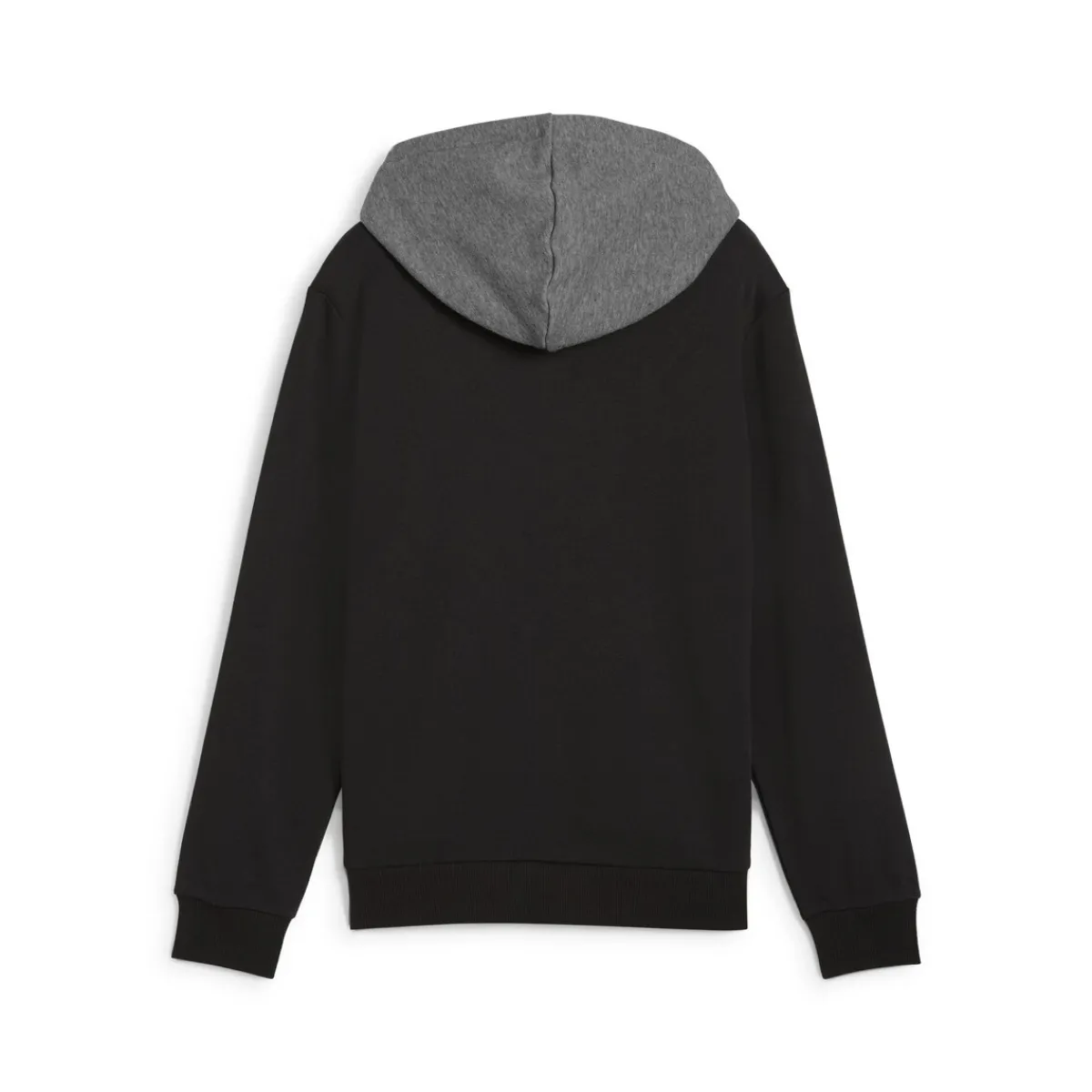 Sweats & Polaires^Puma - POWER COLORBLOCK HOODIE TR