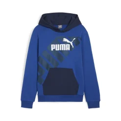 Sweats & Polaires^Puma - POWER GRAPHIC HOODIE TR B Bleu
