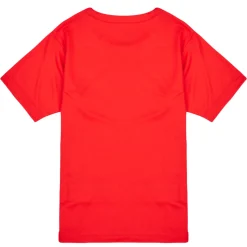 T-shirts & Polos^Puma - TEAMRISE MATCH DAY Rouge