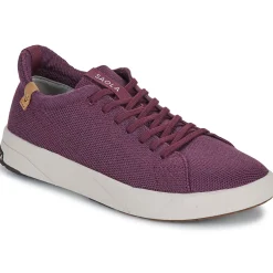 Baskets Mode^Saola - CANNON KNIT 2.0 WOOL Bordeaux