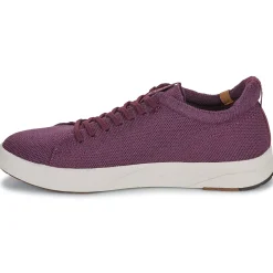 Baskets Mode^Saola - CANNON KNIT 2.0 WOOL Bordeaux
