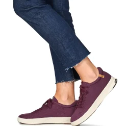 Baskets Mode^Saola - CANNON KNIT 2.0 WOOL Bordeaux