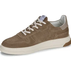 Baskets Mode^Schmoove - ORDER SNEAKER M Taupe