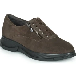 Baskets Mode^Scholl - BRISTOL ZIP Marron