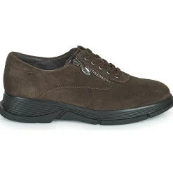 Baskets Mode^Scholl - BRISTOL ZIP Marron