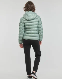 Manteaux^Superdry - HOODED FUJI PADDED JACKET Vert