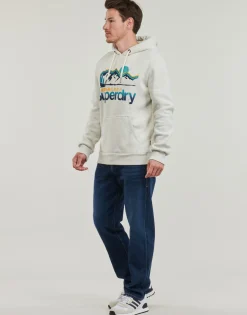 Sweats & Polaires^Superdry - HOODED GREAT OUTDOORS Beige