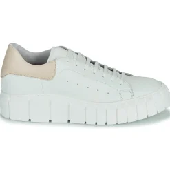 Baskets Mode^Sweet Lemon - PLANTO
