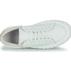 Baskets Mode^Sweet Lemon - PLANTO