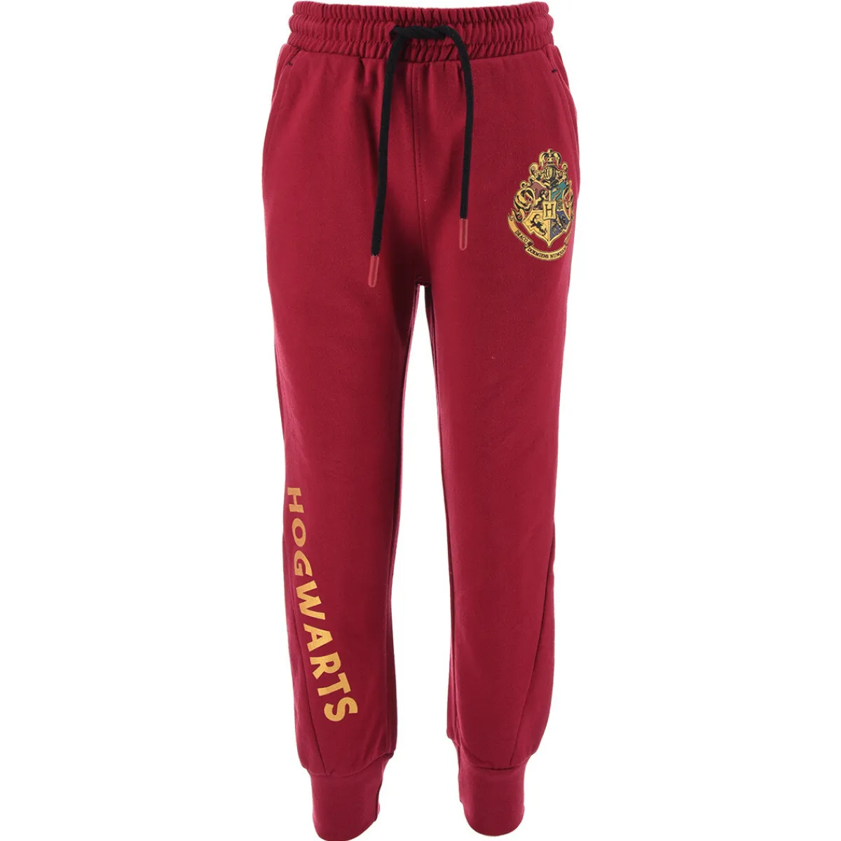 Joggings & Survêtements^TEAM HEROES - JOGGING HARRY POTTER Violet