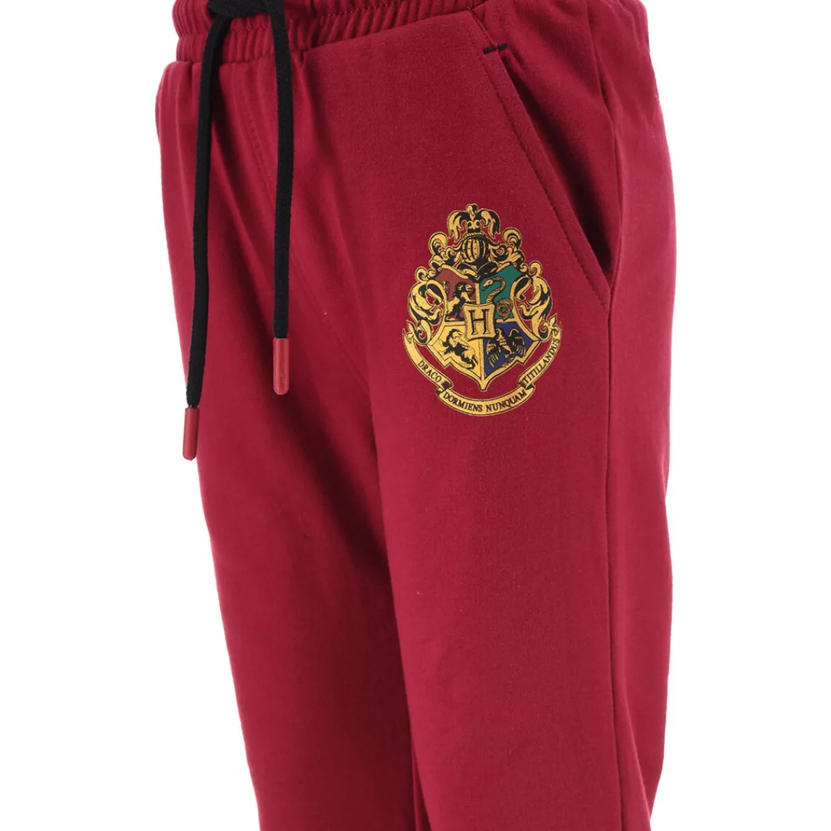 Joggings & Survêtements^TEAM HEROES - JOGGING HARRY POTTER Violet