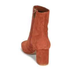 Bottines / Boots^Ted Baker - DANIM Marron