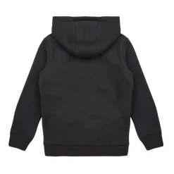 Sweats & Polaires^Teddy Smith - SICLASS HOODY Noir