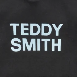 Sweats & Polaires^Teddy Smith - SICLASS HOODY Noir