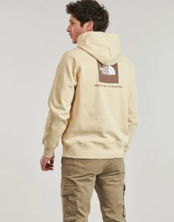 Sweats & Polaires^The North Face - Raglan Box Nse Hoodie Beige