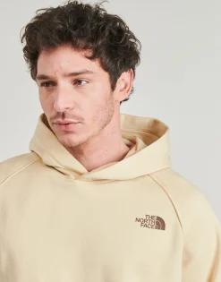 Sweats & Polaires^The North Face - Raglan Box Nse Hoodie Beige