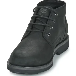 Bottines / Boots^Timberland - ALDEN BROOK MID LACE UP Noir
