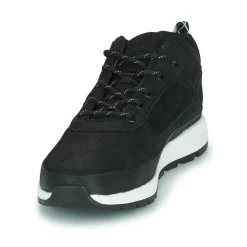 Baskets Mode^Timberland - FIELD TREKKER LOW Noir