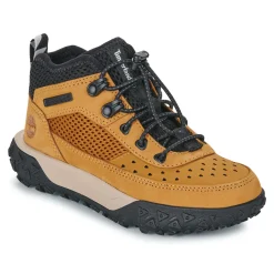 Baskets Mode^Timberland - GREENSTRIDE MOTION 6 LOW LACE UP Marron