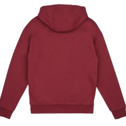 Sweats & Polaires^Timberland - SWEAT A CAPUCHE T60317 Bordeaux