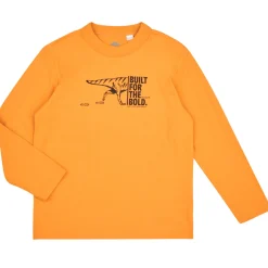 T-shirts & Polos^Timberland - TEE-SHIRT MANCHES LONGUES T60301 JauneMoutarde