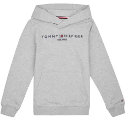 Sweats & Polaires^Tommy Hilfiger - ESSENTIAL HOODIE Gris