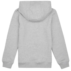 Sweats & Polaires^Tommy Hilfiger - ESSENTIAL HOODIE Gris