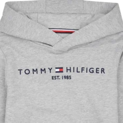 Sweats & Polaires^Tommy Hilfiger - ESSENTIAL HOODIE Gris