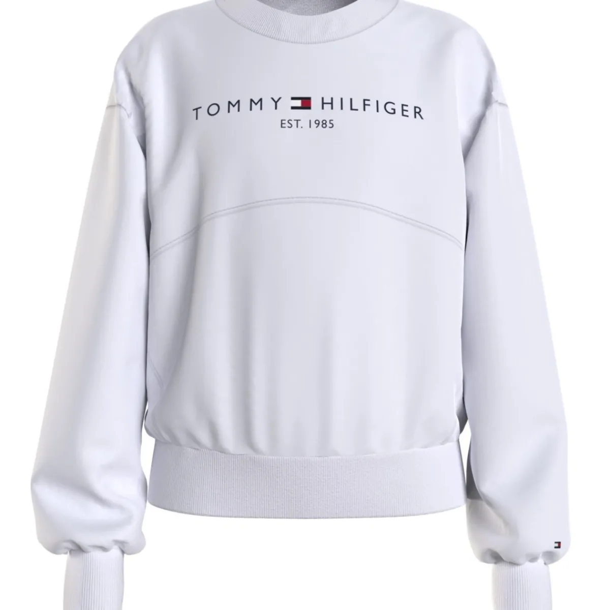 Sweats & Polaires^Tommy Hilfiger - THUBOR Blanc