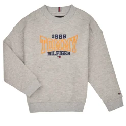 Sweats & Polaires^Tommy Hilfiger - TOMMY 1985 VARSITY SWEATSHIRT Gris