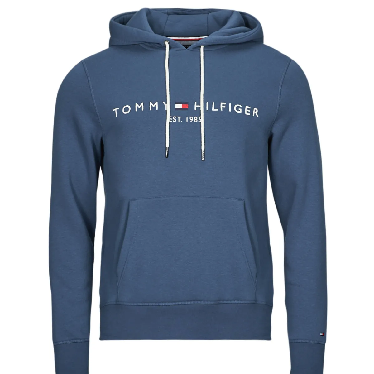 Sweats & Polaires^Tommy Hilfiger - TOMMY LOGO HOODY Bleu