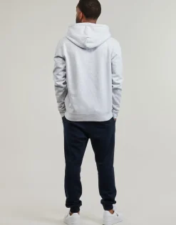 Sweats & Polaires^Tommy Jeans - TJM REG WASHED PREP EXPLR HOODIE Gris