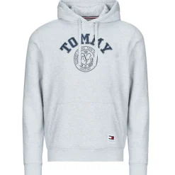 Sweats & Polaires^Tommy Jeans - TJM REG WASHED PREP EXPLR HOODIE Gris