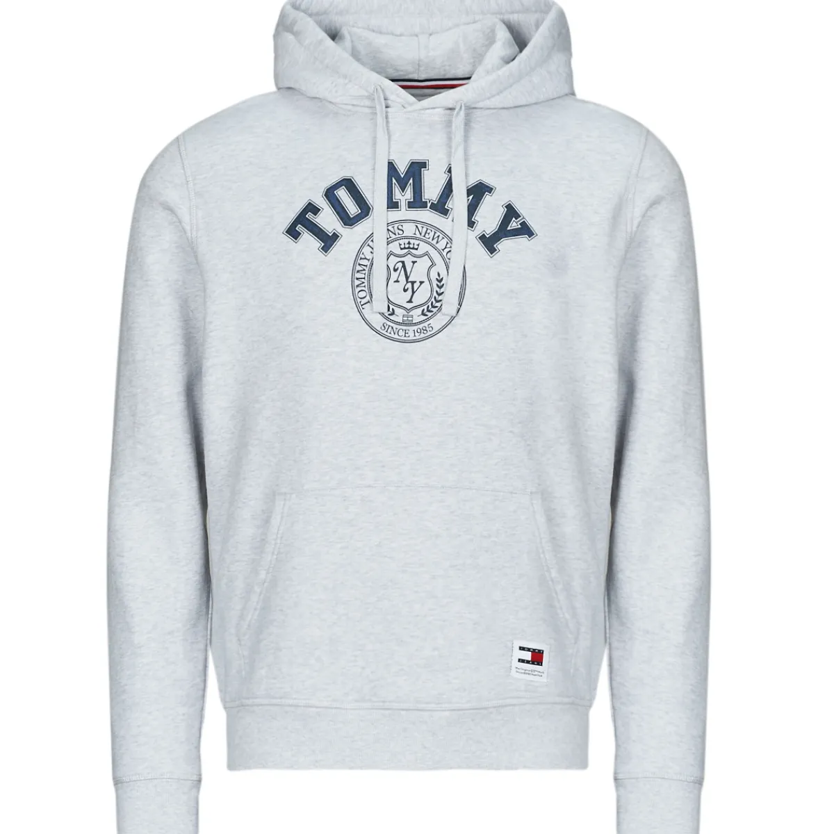 Sweats & Polaires^Tommy Jeans - TJM REG WASHED PREP EXPLR HOODIE Gris
