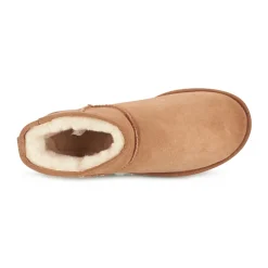 Bottines / Boots^UGG - CLASSIC MINI II Camel