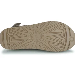 Mules / Sabots^UGG - GOLDENSTAR CLOG Taupe