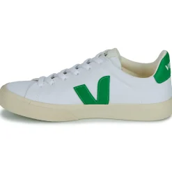 Baskets Mode^Veja - CAMPO CANVAS